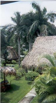 Jaco Hotel View