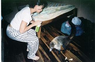 Yan Feeds the Pizoate