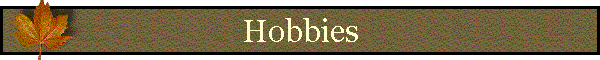 Hobbies
