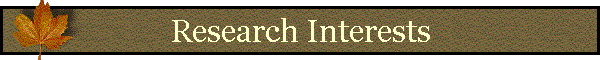 My Research Interests