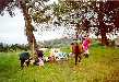 The Latrobites disarm after the battle for the ringfort.( Steven Lowe)