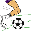 link.gif (1755 bytes)