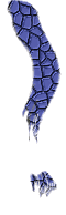 oldes.gif (2866 bytes)