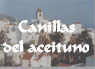 canillas del aceituno.jpg (1982 bytes)
