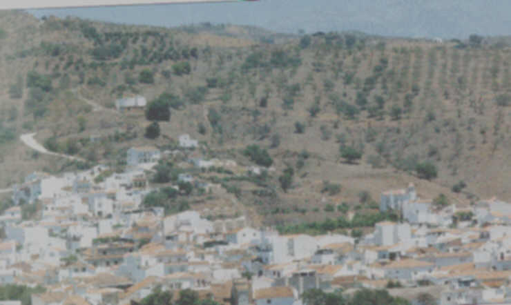foto bamarjosa.jpg (30578 bytes)
