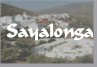 sayalonga.jpg (3263 bytes)