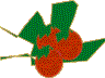 tomate.gif (2439 bytes)