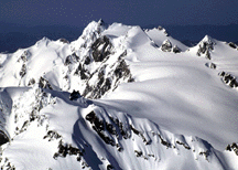 ph00780u.gif (26364 bytes)