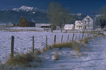 ph01236u.gif (24733 bytes)