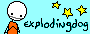 explodingdog