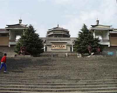 monastry of shaolin squirrels