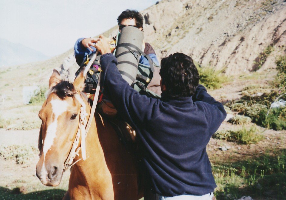 Photograph