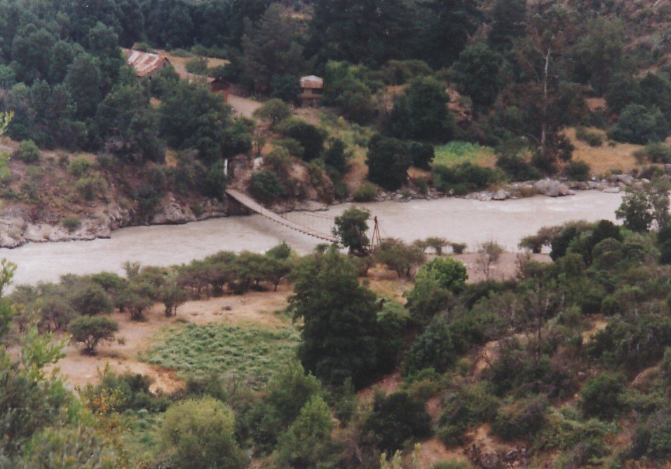 Photograph