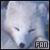 Arctic Animals