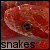 Snakes