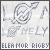 The Beatles: Eleanor Rigby