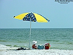 This is a baby sitting under an umbrella on the beach