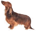 teck05.gif (8964 Byte)