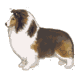 thumbnail of your picture 4