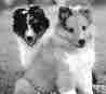 thumbnail of your picture 6