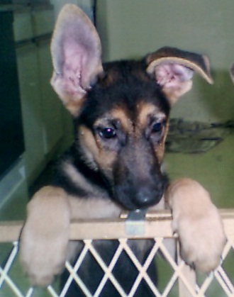 Alexa at 3 months and a day ;-)