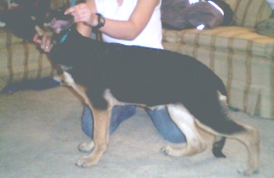 Anja at 3 1/2 months old.