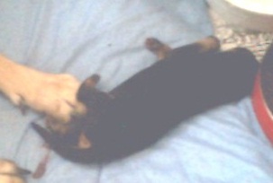 Five days old.