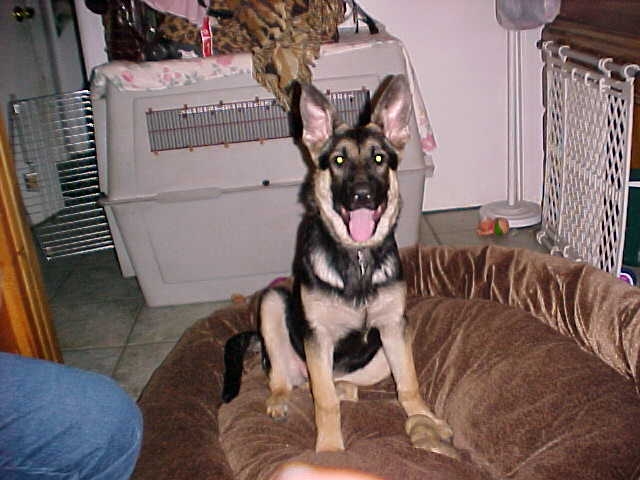 Savannah on March 18, 2002
