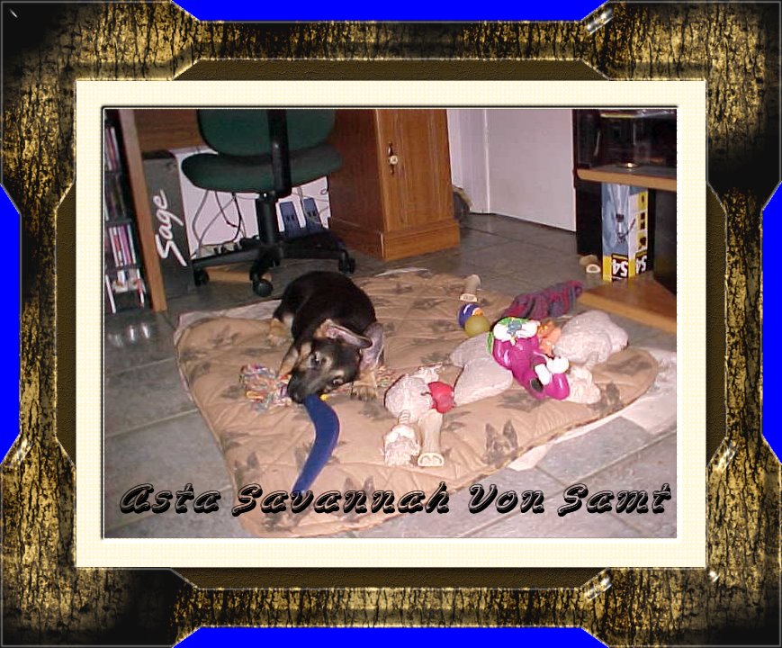 Savannah in her new home!