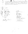 accordo96-4.JPG (88928 byte)
