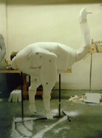 styrofoam innards