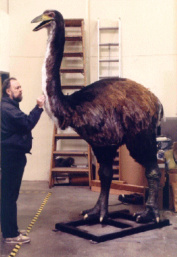 Bill with his creation