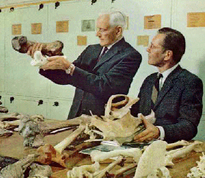 scientist & artist