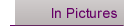 lx_picts.gif (1244 bytes)