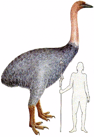 Eric Alibert's conception