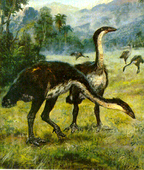 Zdenek Burian's Aepyornis