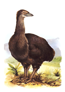 Tim Bramfitt's illustration, p.18