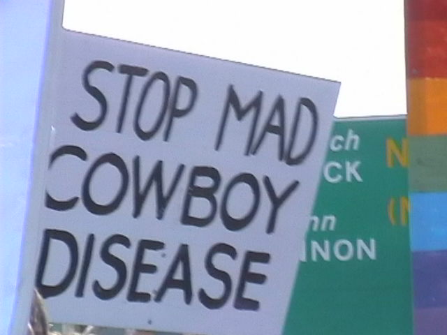 madcowboy