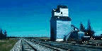 manitoba_anime.gif (37640 octets)