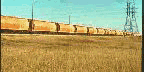 saskatchewan_anime.gif (36792 octets)