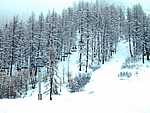 1stday-snowing.JPG