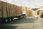 truck.jpg (24274 bytes)