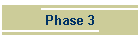 Phase 3