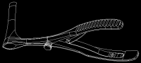 3-D model of the mirror