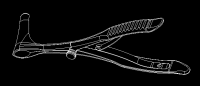 3-D model of the mirror
