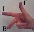 IB-regel