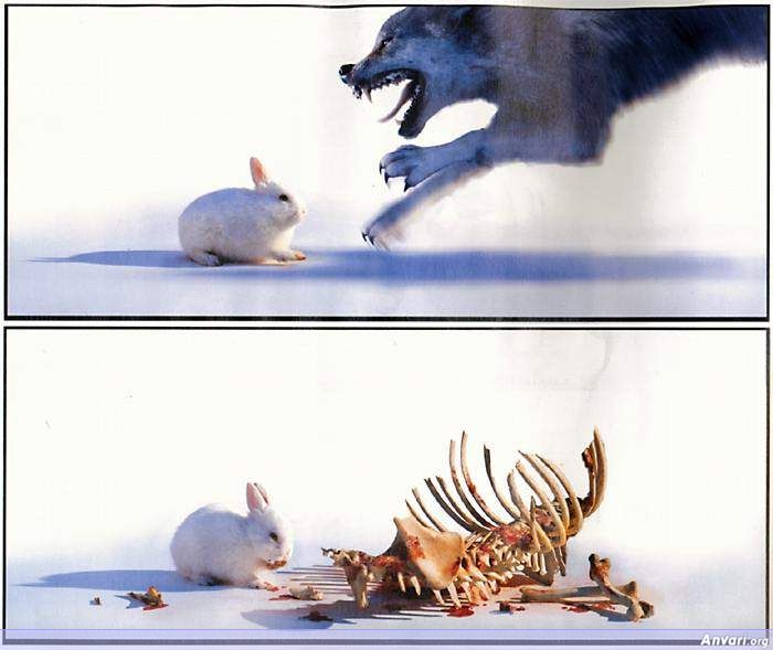 hungry mouse