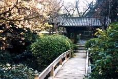 Japan Photos
