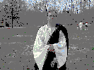 alisdair