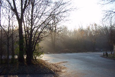 Morning mist